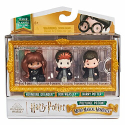 Avis Ludendo Pack de 3 figurines Polynectar - Moments Magiques Harry Potter