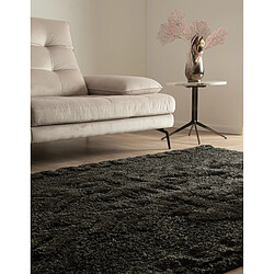 Avis Hadorn Tapis shaggy 245x160 noir Thun Scutum