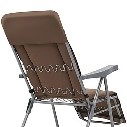 Acheter vidaXL Chaises pliables de jardin avec coussins lot de 2 Marron