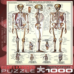 Acheter Eurographics Skeletal System (graphique) Puzzle (1000 piAces) (6000-3970)