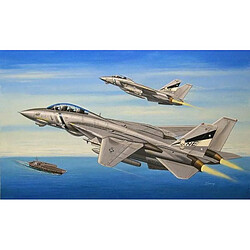 F-14D Super Tomcat - 1:72e - Hobby Boss