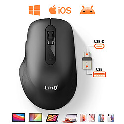 LinQ Souris Sans Fil WiFi et Bluetooth 2.4G avec Dongle USB C et USB Noir pas cher