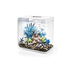 Aquarium décoratif 30l mcr avec cadre blanc - Flow30MCR white - OASE