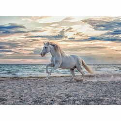 Ludendo Puzzle 500 Pièces Ravensburger - Cheval sur la plage