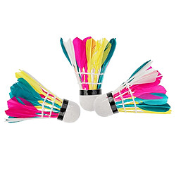 Wewoo Badminton coloré 3 en 1adapté au divertissement à domicile