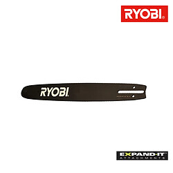 Guide RYOBI 25cm pour élagueurs Expand-it CSA039