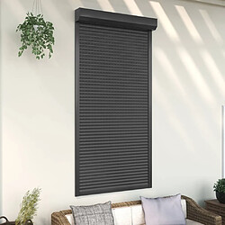 vidaXL Volet roulant aluminium 110x220 cm anthracite