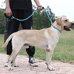 Universal Épaisseur Traction pour animaux de compagnie Manche à deux mains Ceinture pour chien réflecteur Manche en nylon Bague avec corde 1,6 m Entraînement pour animaux de compagnie Fourniture | Ceinture pas cher