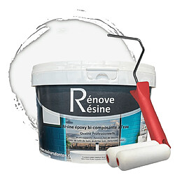 Pok Peinture Résine multisupport Intérieur 0,5L