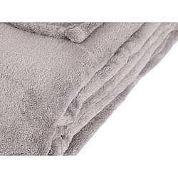 Atmosphera, Createur D'Interieur Plaid microfibre 125x150 cm - gris - Atmosphera pas cher