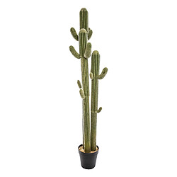 Atmosphera, Createur D'Interieur Cactus 3 Troncs 203 cm - Atmosphera