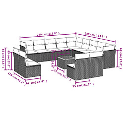 Avis vidaXL Salon de jardin et coussins 14 pcs mélange beige résine tressée