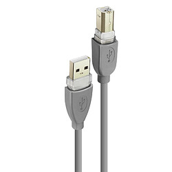 Câble USB-A 2.0 vers USB-B 2.0 Transfert Rapide Connexion Stable 1,8m LinQ Gris