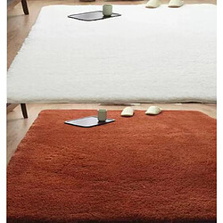 LUUCOZK Tapis moelleux en fausse fourrure, tapis à poils longs pour chambre à coucher, salon, rose-160x230cm pas cher