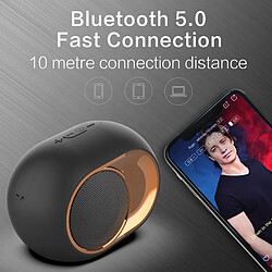 Avis Wewoo Enceinte Bluetooth étanche Haut-parleur sans fil d'extérieur basse X6 TWSprise en charge mains libres / carte USB / AUX / TF bleue