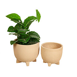 Set de pots de fleurs Romimex Blanc Beige Pieds (2 Pièces) 