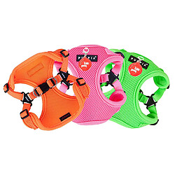 Avis Puppia Neon Soft C Harnais pour Chien Orange Taille S