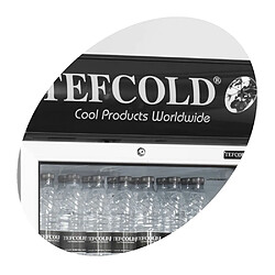 Avis Réfrigérateur à Boissons FSC1380 - TEFCOLD