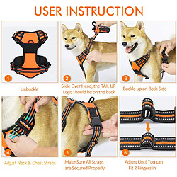 Acheter Universal Animaux de compagnie nylon réfléchissant faisceau de chien sans étirement moyen réglable grand gilet de chien de ruée à l'or voiture de sécurité plomb marche course | bondage (orange)