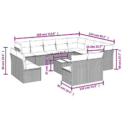 Avis vidaXL Salon de jardin avec coussins 13 pcs noir résine tressée