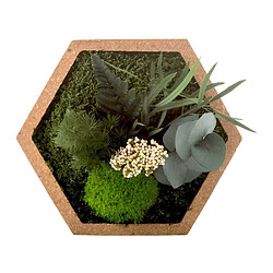 Flowerbox Tableau végétal stabilisé nature Hexagonale.