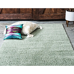 Avis Hadorn Tapis shaggy 365x275 vert Luzern