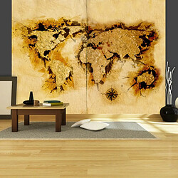 Paris Prix Papier Peint Gold Diggers' Map of the World 231 x 300 cm 