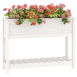 Acheter Maison Chic Jardinière,Bac à fleurs - pot de fleur et étagère Blanc 111,5x34,5x81 cm Bois massif de pin -GKD27352