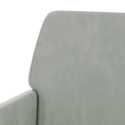 vidaXL Fauteuil Gris clair 62x79x79 cm Velours pas cher