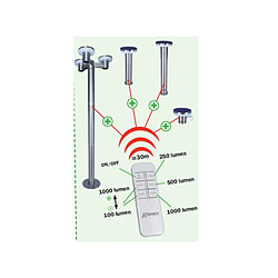 Applique solaire 1000 lumens avec télécommande - PRLUMSOL4/M - RIBIMEX