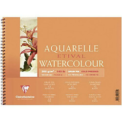 Clairefontaine 96070C Papier aquarelle Grain Fin 12 Feuilles Blanc