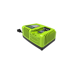 Chargeur rapide GREENWORKS 40V - G40UC4