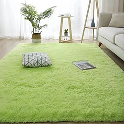 LUUCOZK Tapis à poils longs doux et moelleux pour chambre à coucher et salon - Vert gazon-200x300cm