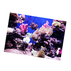 Autocollant pour aquarium