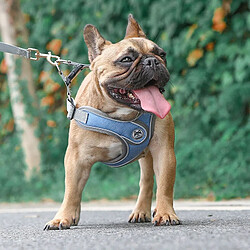 Acheter Universal Ceinture de poitrine pour chien réflecteur avec cordon de sécurité réglable Gilet Gilet avec câble et cordon pour chien timonier