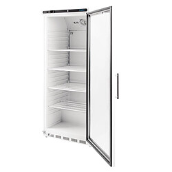 Armoire Réfrigérée Vitrée Professionnelle 600 L - Positive - Polar