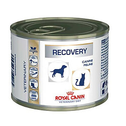 Boîtes Royal Canin Veterinary Diet Recovery pour chiens et chats Boîte de 195 g