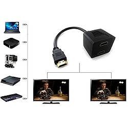 Acheter Ansonic Splitter 2 x HDMI femelle vers Câble HDMI Mâle 30 cm Noir connectique Or