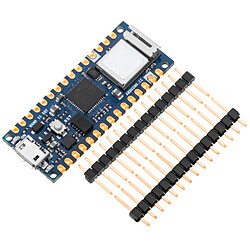 Carte IoT Arduino Nano 33