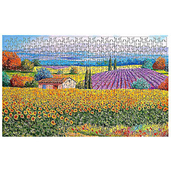 Universal Puzzle avion 500 pièces Puzzle jouet éducatif Puzzle style rural 