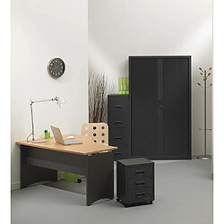 Pierre HENRY Armoire de bureau portes à rideaux 3 étagères anthracite.