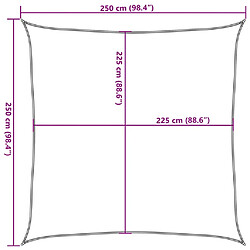 vidaXL Voile d'ombrage 160 g/m² Noir 2,5x2,5 m PEHD pas cher