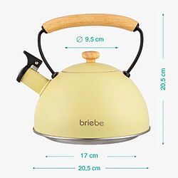 Bouilloire à Induction Théière Sifflet 2,3L Acier Inox. Retro, Poignée en Bois, , Jaune, Briebe, Pastel pas cher