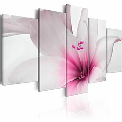 Paris Prix Tableau Imprimé Amarylis : Pink Charm 100 x 200 cm