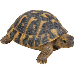 Vivid Arts Tortue Hermann en résine 17 cm. Tortue Hermann en résine 17 cm