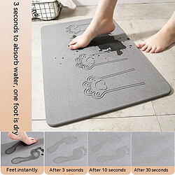 LUUCOZK Tapis de bain antidérapants absorbants à séchage rapide pour salle de bain - Griffe de chat - Gris-39x60cm