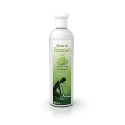 Desineo Brume de Hammam Elinya senteur amincissante 250 ml