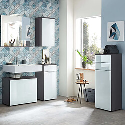 Germania Armoire de sol de salle de bain GW-Pescara Blanc et graphite 