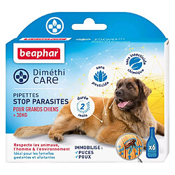 Beaphar DiméthiCARE Pipettes Antiparasitaires Grand Chien &gt;30 kg