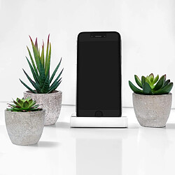 Avis BESTA Ensemble de 3 Petites Plantes Artificielles Décoration Extérieur Intérieur Succulentes Succulentes En Pot pour Bureau, Balcon, Salon, Maison